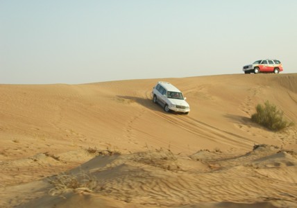 Wüstensafari