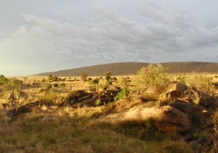 Massai Mara