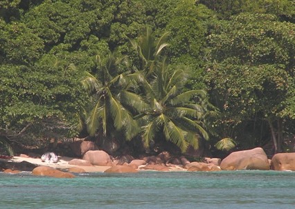 Anse Lazio