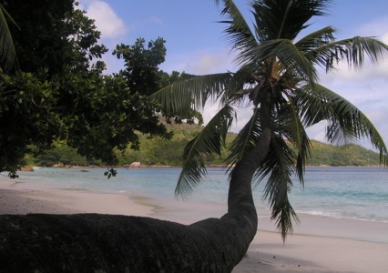 Anse Lazio
